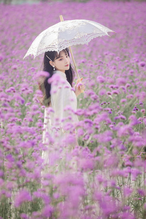 电视剧风雨雕花楼